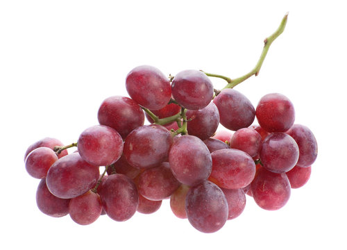 Red grape bunch