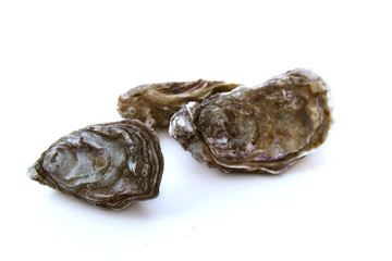 Huitres