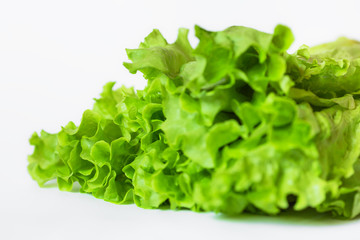 Lettuce isolated on white