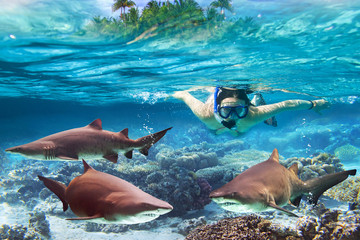 Woment snorkeling in the tropical water with dangerous sharks