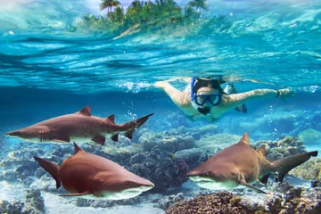 Wall murals Diving Woment snorkeling in the tropical water with dangerous sharks