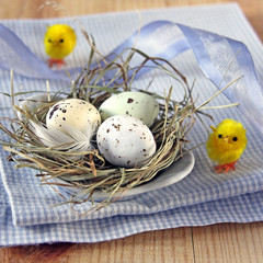kleines osternest mit osterküken