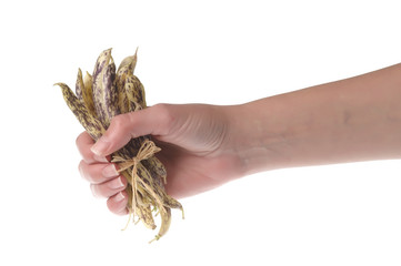 Yellow Wax Snap Beans