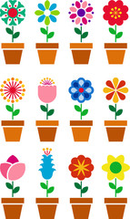 Set of flowers in a pot - obrazy, fototapety, plakaty