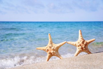 Fototapeta na wymiar holiday concept - two sea-stars walking on sand beach against wa