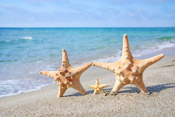 Fototapeta na wymiar family holiday concept - sea-stars walking on sand beach against