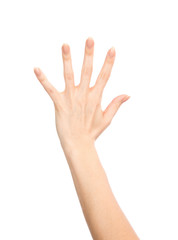 Obraz premium Manicured female hand gesture number five fingers up