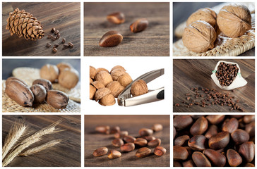 Fototapeta premium Collection of nut and seed images