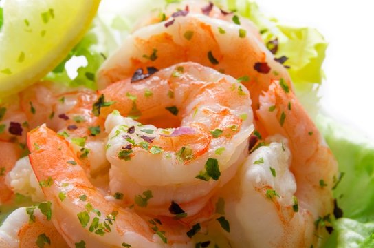 Salad with shrimp sprinkled with parsley sea