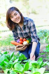 Beautiful asian women harvesting organic vegetables