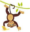 Monkey on liana with banana