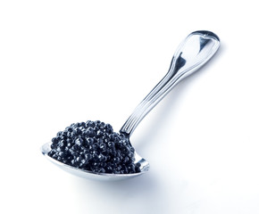 Black caviar on a spoon. with clipping path
