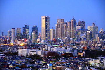 Fototapeta na wymiar Shinjuku Skyline