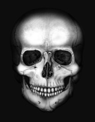 skull in the darkness