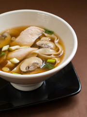 Asian noodle soup