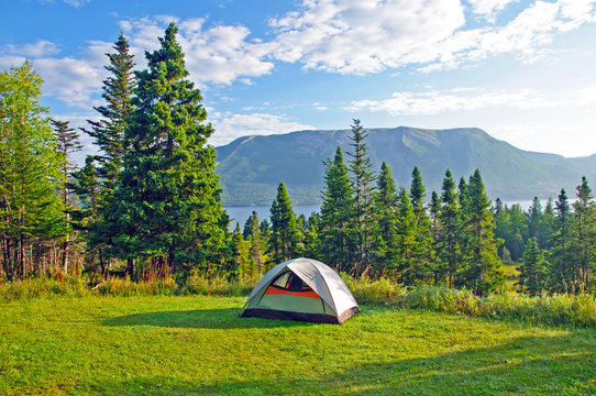 Campsite in Early Morning on the Coast