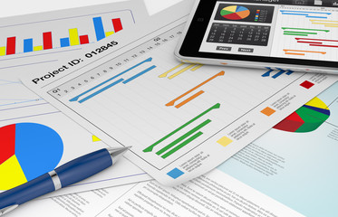 Obraz premium project management