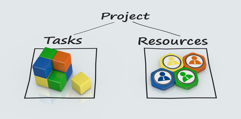 project management