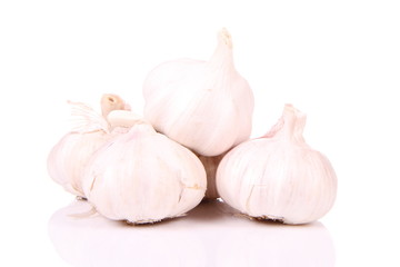 Bunch of garlic on a white background