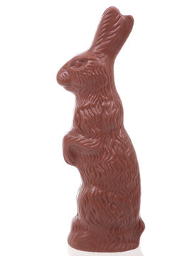 Easter Chocolate Bunny On White Background