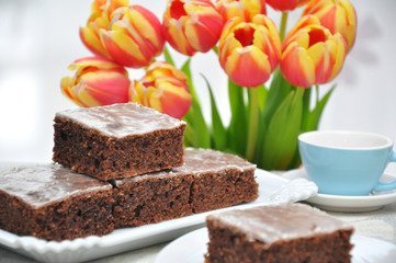 Schokoladen Schnitten