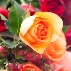 Papier Peint photo autocollant Macro bouquet de roses colorées