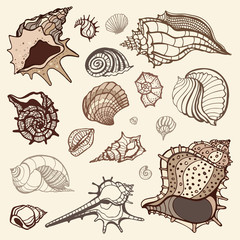Sea collection. Hand drawn vector illustration