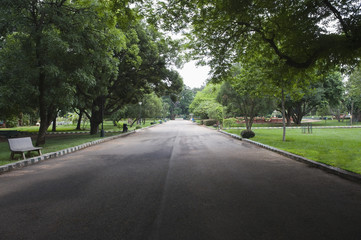 Trees along the road, Lal Bagh Botanical Garden, Bangalore,