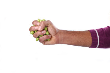 pugno d'olive