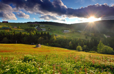 Mountain nature with sun - Krkonose - Pec pod Snezkou - Czech re
