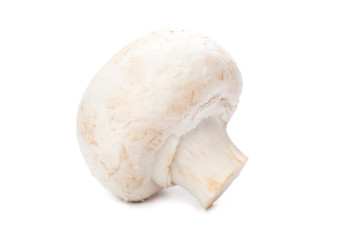 mushroom on white