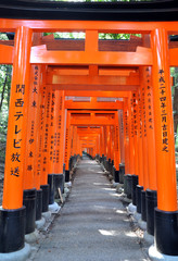 Famous bright orange torii gates of Fushimi Inari Taisha Shrine © siraanamwong