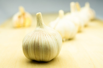 Garlic