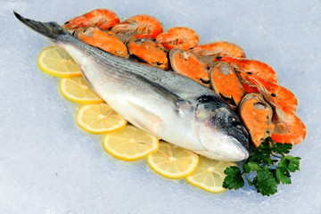 Fresh seafood on ice
