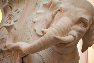 Fototapety  słoń minerveo