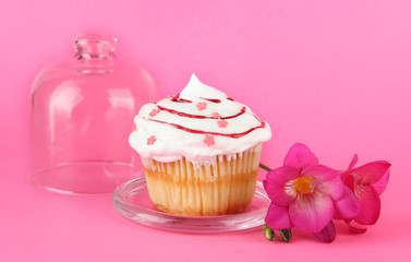 Cupcake on saucer with glass cover, on color background