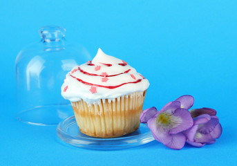 Cupcake on saucer with glass cover, on color background