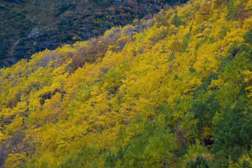 Fototapeta premium landscape near Melkevollbreen Glacier, Jostedalsbreen National P