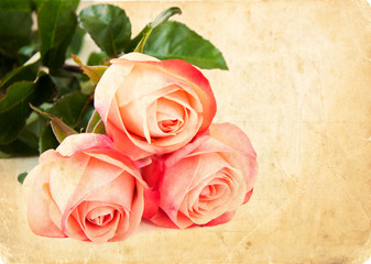 Obraz premium Grunge card with roses