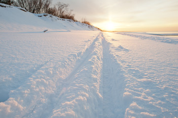 Cross country ski tracks at seaside