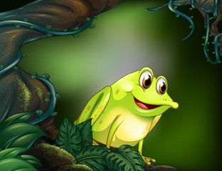 A big tree with a green frog