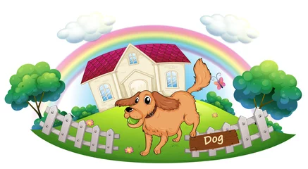 Crédence de cuisine en verre imprimé Arc en ciel Un chien jouant devant une maison
