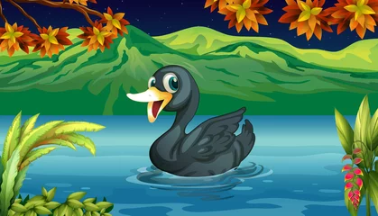 Printed roller blinds River, lake A black swan at the lake