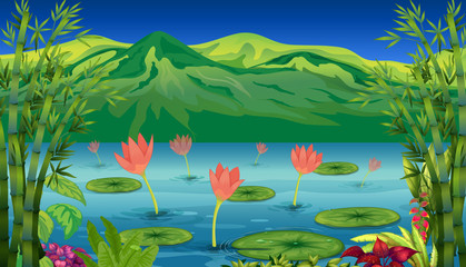 Les nénuphars et les fleurs au bord du lac