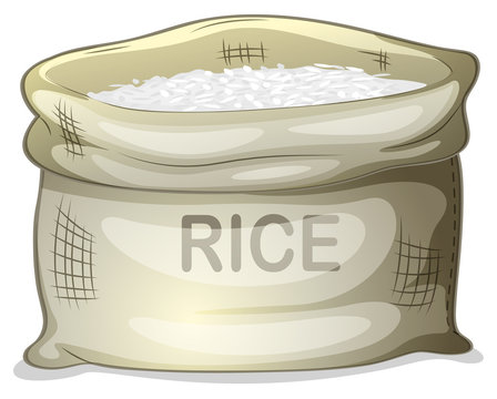 Rice Cartoon Images – Browse 41,150 Stock Photos, Vectors, and Video |  Adobe Stock