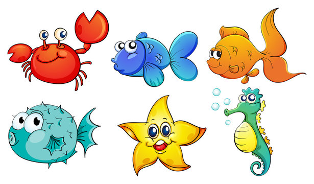 The different sea creatures