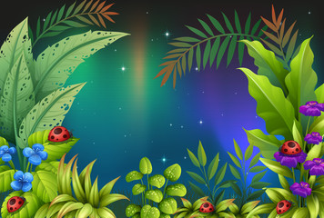 Vijf insecten in een regenwoud