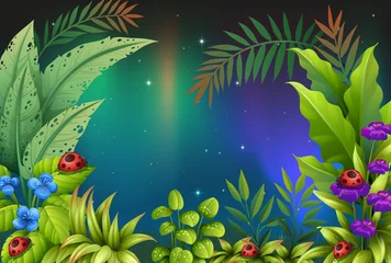 Foto op Plexiglas Vijf insecten in een regenwoud © GraphicsRF