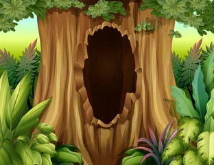 Poster de jardin Animaux de la forêt Un trou dans un grand arbre