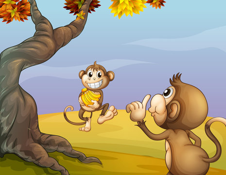 Two monkeys beside the big tree